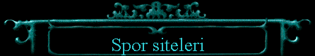  Spor siteleri 